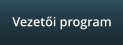 Vezet�i program